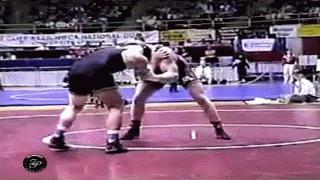 科特安格摔跤技术,科特安格评价莱斯纳