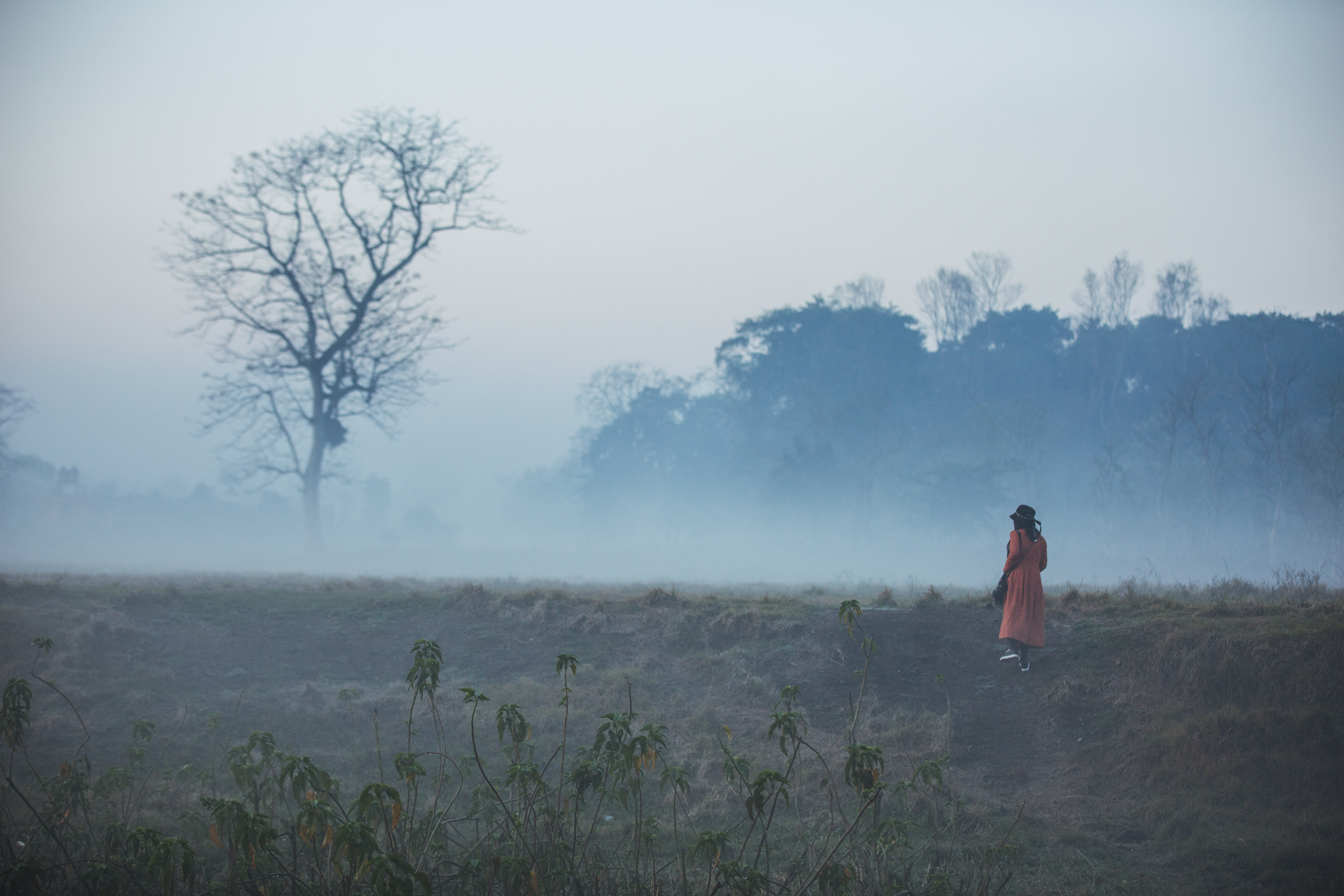漫游超人免费观看,漫游超人通关视频