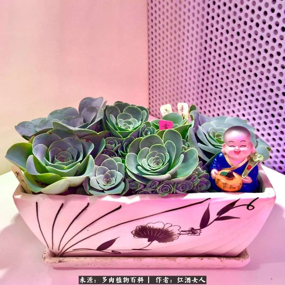 记录走过的美景留下美好的回忆,记录走过的每一段美好时光