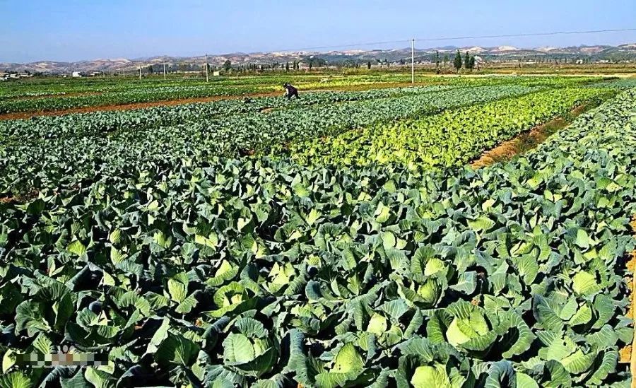 有个地方叫巴中抖音版,平昌好玩的地方