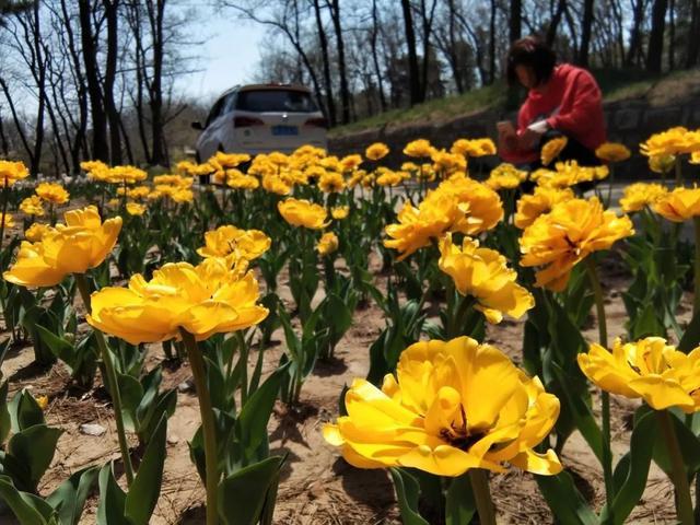 济南桌游馆,济南桌游哪里好