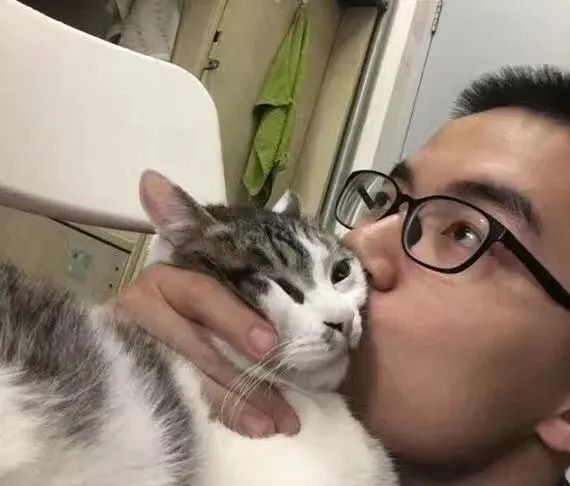 坦克小希和牧野奇迹怎么选,坦克小希和醇粹猫粮哪个好