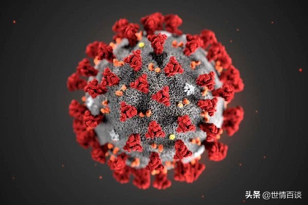 新型冠状病毒肺炎疫苗研究怎么样,新型冠状病毒疫苗的开发