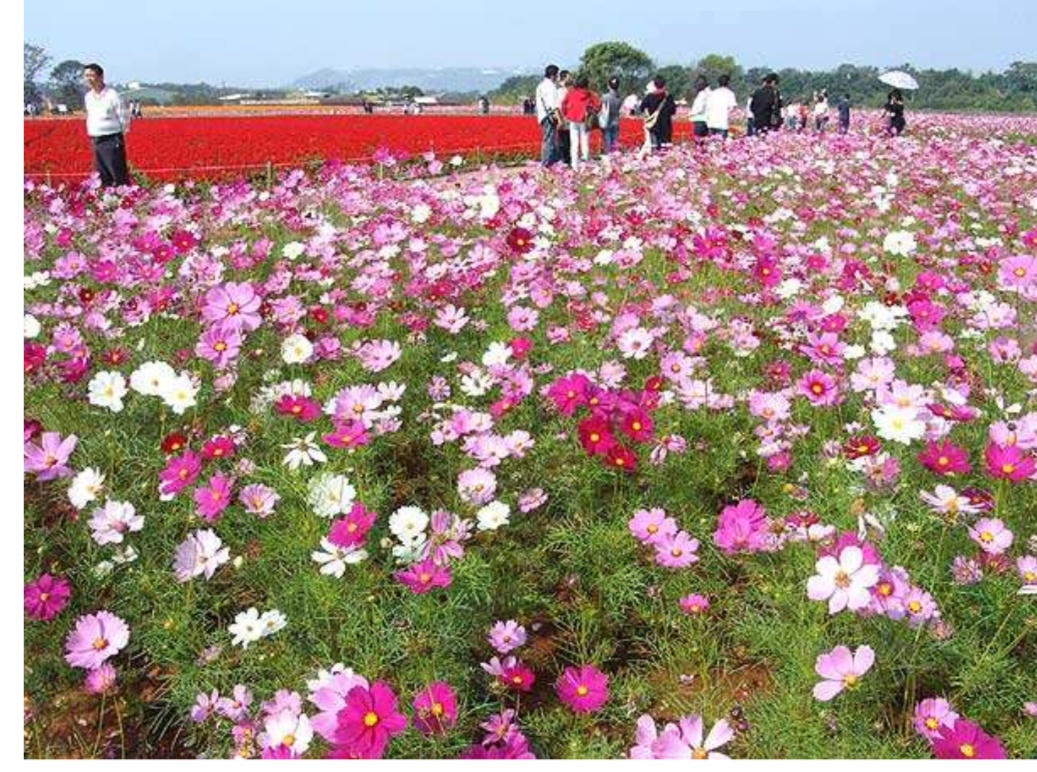 深圳大鹏较场尾民宿客栈,深圳大鹏较场尾海边民宿