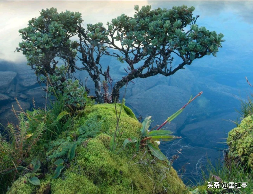 程颢冬日偶成,《春日偶成》宋程颢视频古诗解析