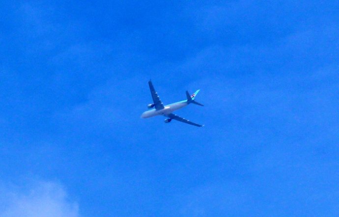 广东人对鸡情有独钟什么意思,为啥广东人喜欢吃鸡鸭鹅