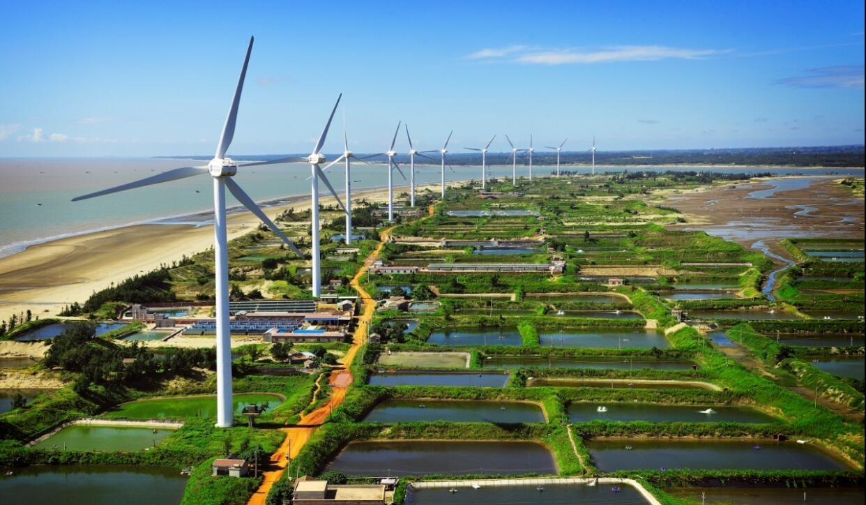 徐闻是个好地方吗,徐闻哪里有升值潜力