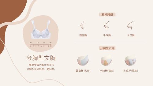 只做线下文胸品牌,只做内衣的品牌