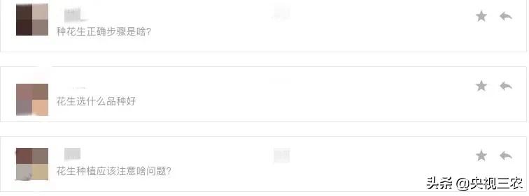 花生的管理方法及注意事项,花生苗移栽时应注意些什么