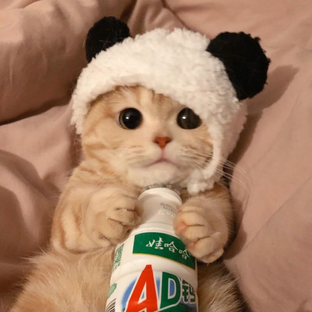 种田纯爱甜文小说双儿推荐,双男主双洁古代种田文