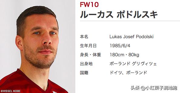 日本旅行攻略自由行怎么玩好,日本外出攻略