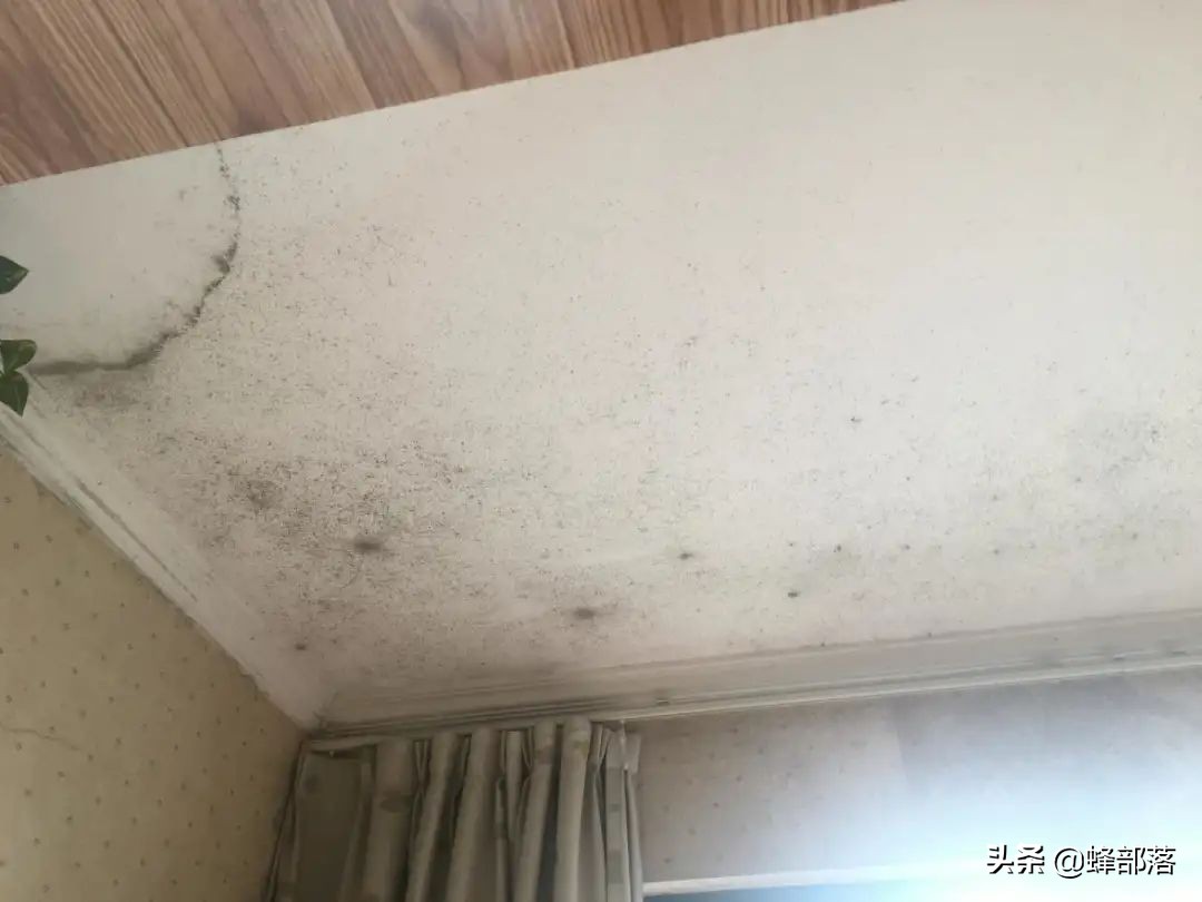 农村自建房顶层墙体开裂怎么处理,自建房室内墙根起皮脱落什么原因