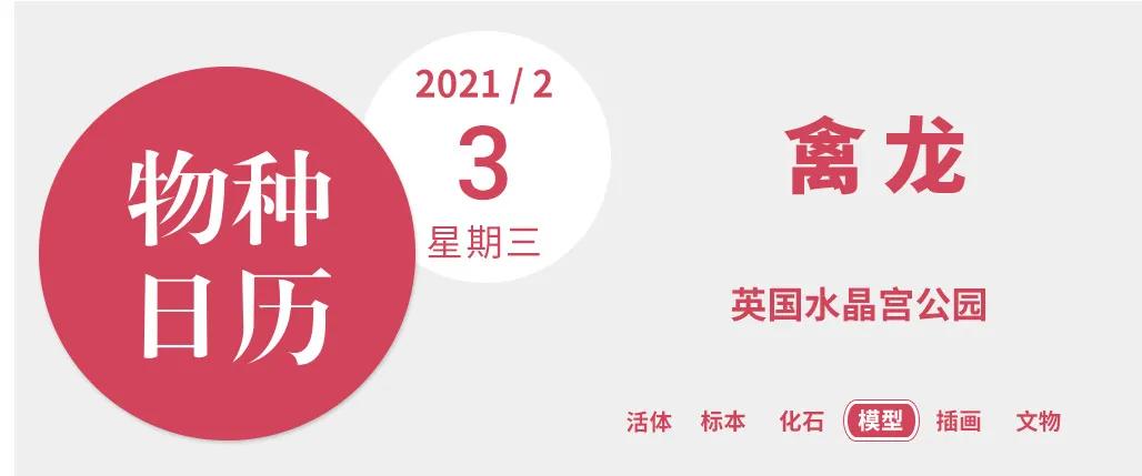 为什么哥斯拉那么帅,哥斯拉和恐龙是一起灭绝的吗