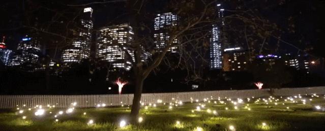 美得足以让人忘记时间流逝,美得让人静止的瞬间