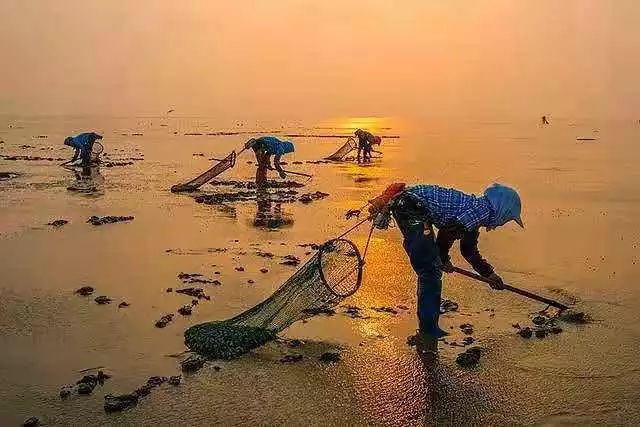 【读历史游盘锦】几许渔人飞短舟,尽载灯火归村路渤海金滩蛤蜊岗