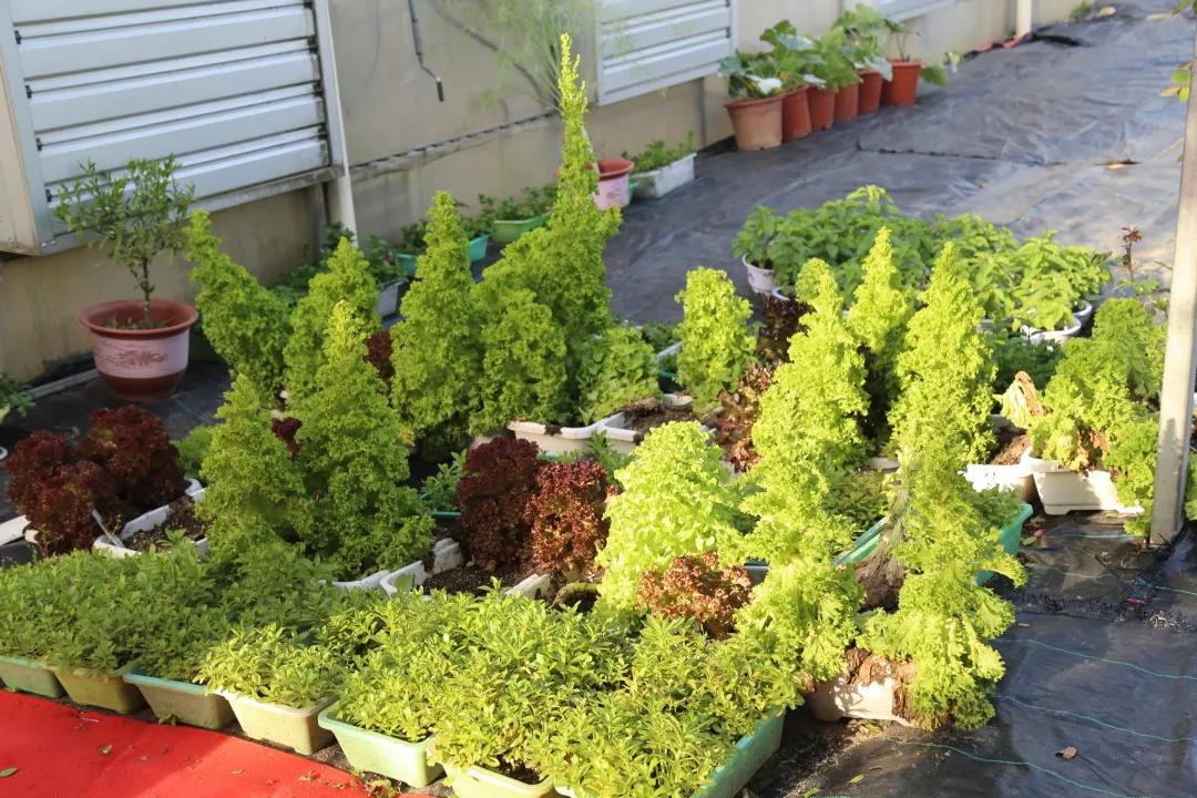 汉川5天周边游攻略,汉川徒步旅游攻略一日游