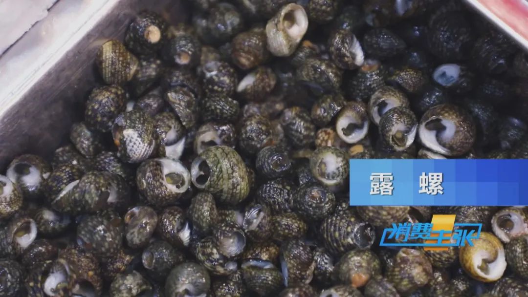 霞浦最出名的下酒菜,霞浦美食下酒菜