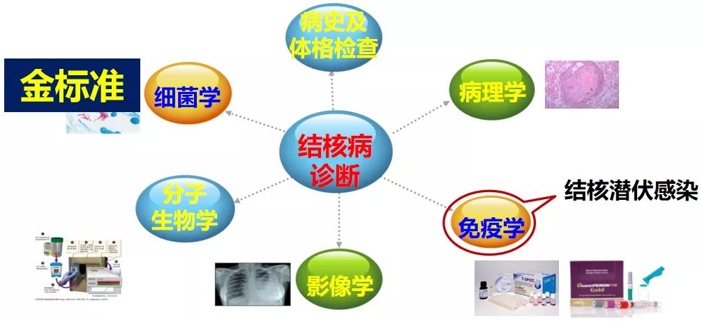 结核诊断方法和防治原则,结核的病原学诊断