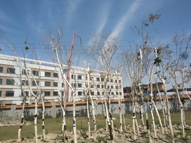 乌鲁木齐城西再添一名校，可容纳3000多名学生，9月就要招生