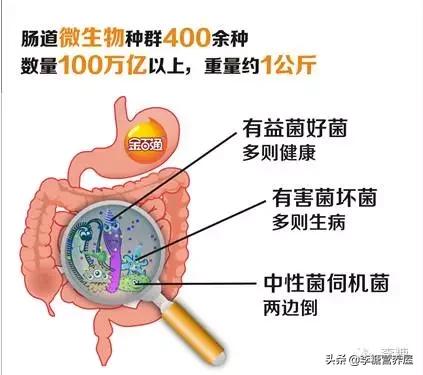 阴道炎用益生菌清洗有用吗？用证据说话，别再乱买益生菌了？