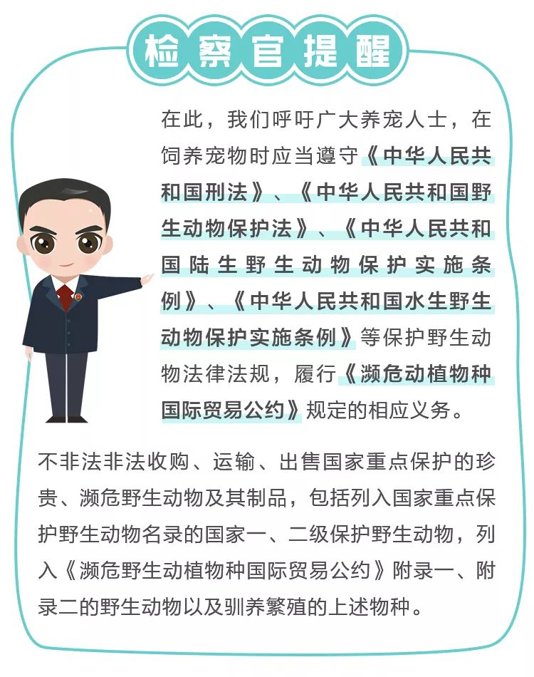 普法讲解野生动物,法治动物
