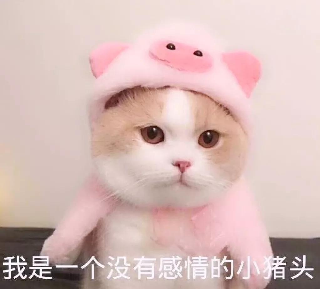 这位太太请你出去表情包,太太微信表情包