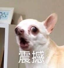 女投资人演讲离奇死亡,女投资人破口大骂