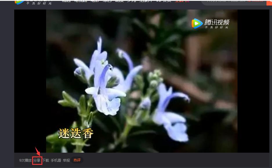 制作相册发送到微信朋友圈,怎么用照片制作视频发微信朋友圈