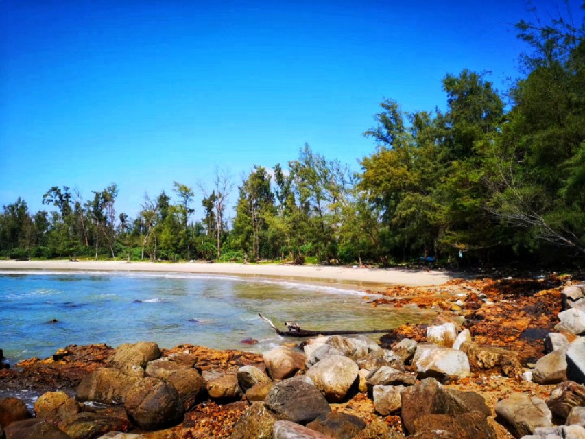 惠州檀悦豪生度假酒店附近赶海,2024年惠州赶海的最佳地方