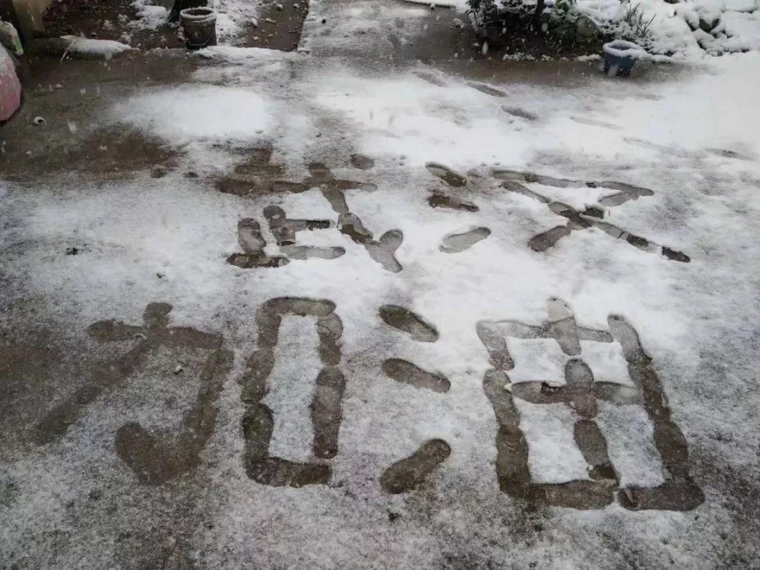 疫情之下看清人性,疫情下的顺德生活