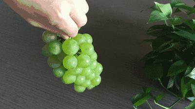 葡萄种类多吃哪种葡萄最好,怎样洗葡萄葡萄才会更好吃