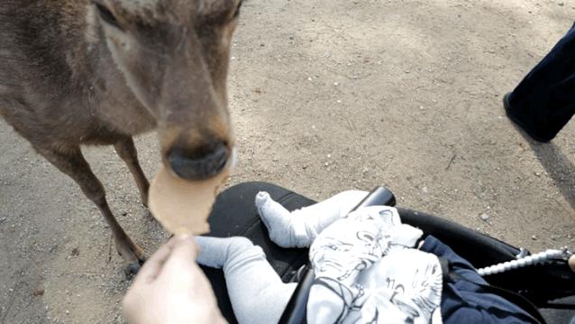 超级妈妈带娃日常生活,超级妈妈带5个孩子