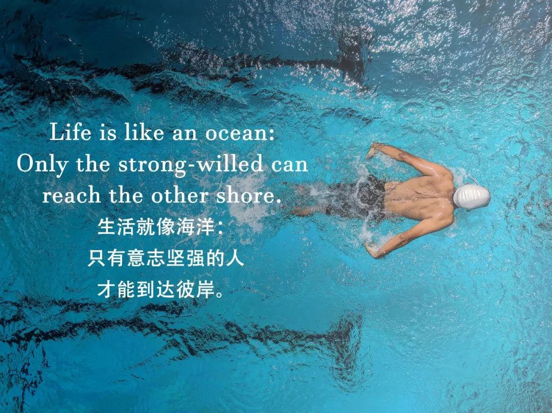 送给高中生最经典的一句话是什么,送给高中生的经典语录