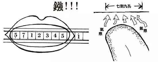 复音口琴入门教程完全攻略