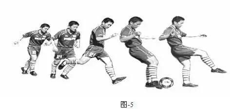 简笔体育教学挂图,体育课动作示范和挂图