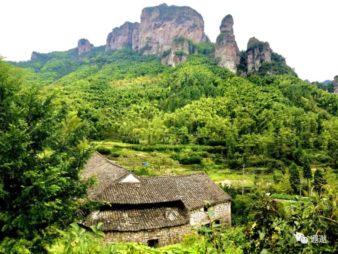 乐清仙溪有哪里好玩的 (乐清仙溪镇景点)