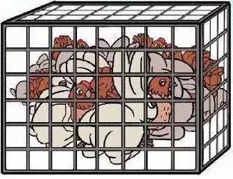 吃鸡有什么忌口,关于吃鸡关于忌口