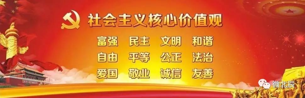 天津市北辰区20项民心工程,北辰区2024年20项民心工程立项
