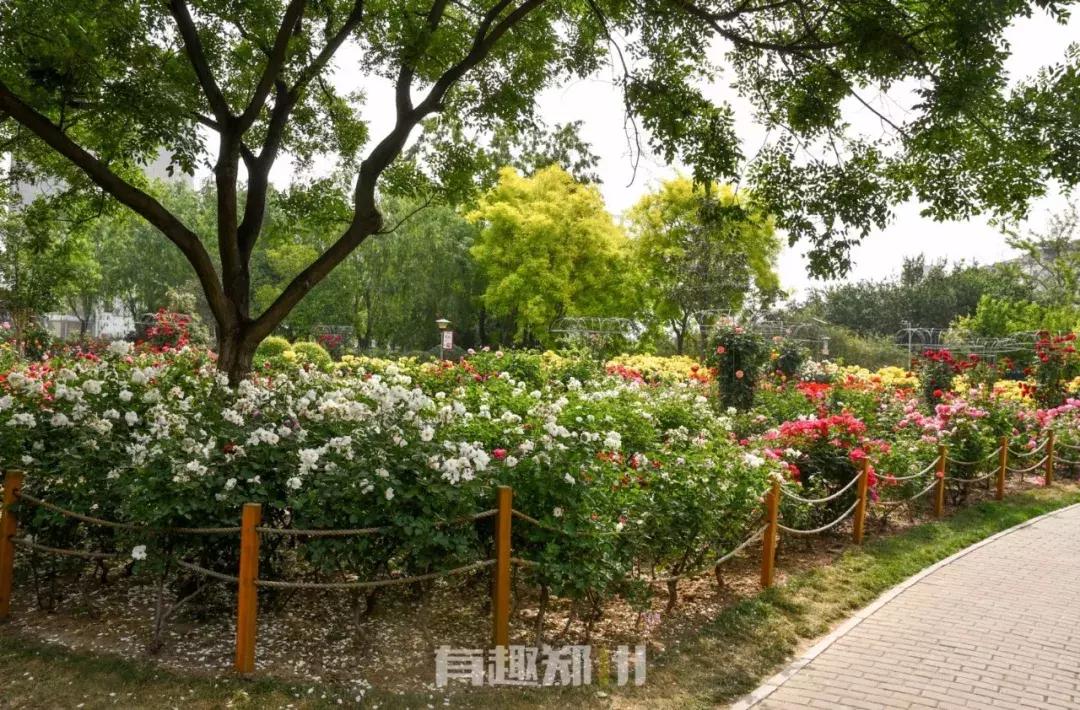 郑州地铁五号线游玩攻略秋季,郑州地铁与5号线沿途有哪些景点