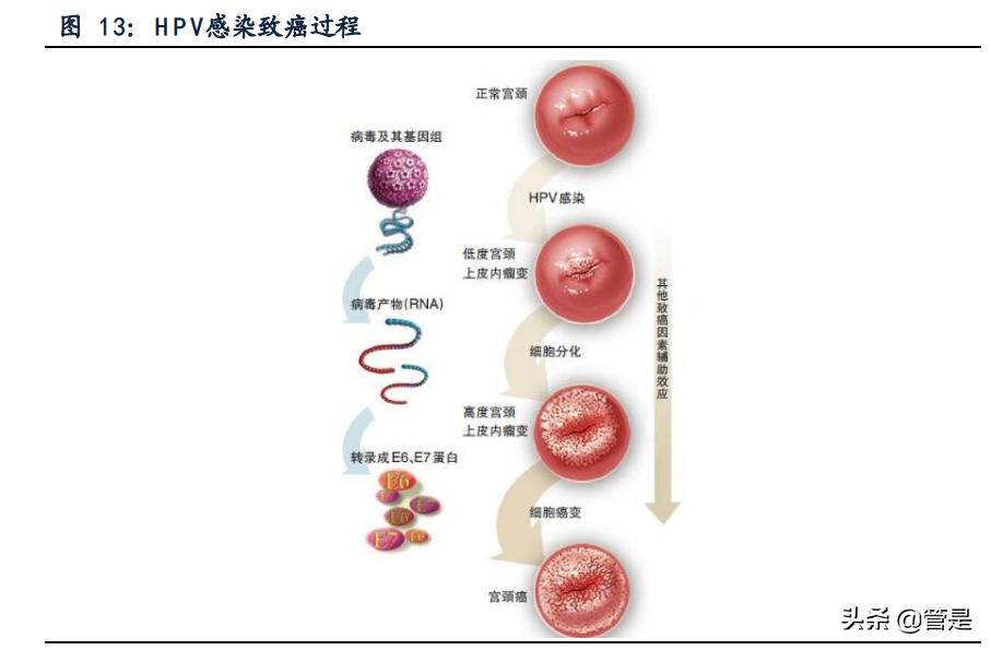 硕世生物专题报告：疾控领域领先企业，后疫情时代突出受益