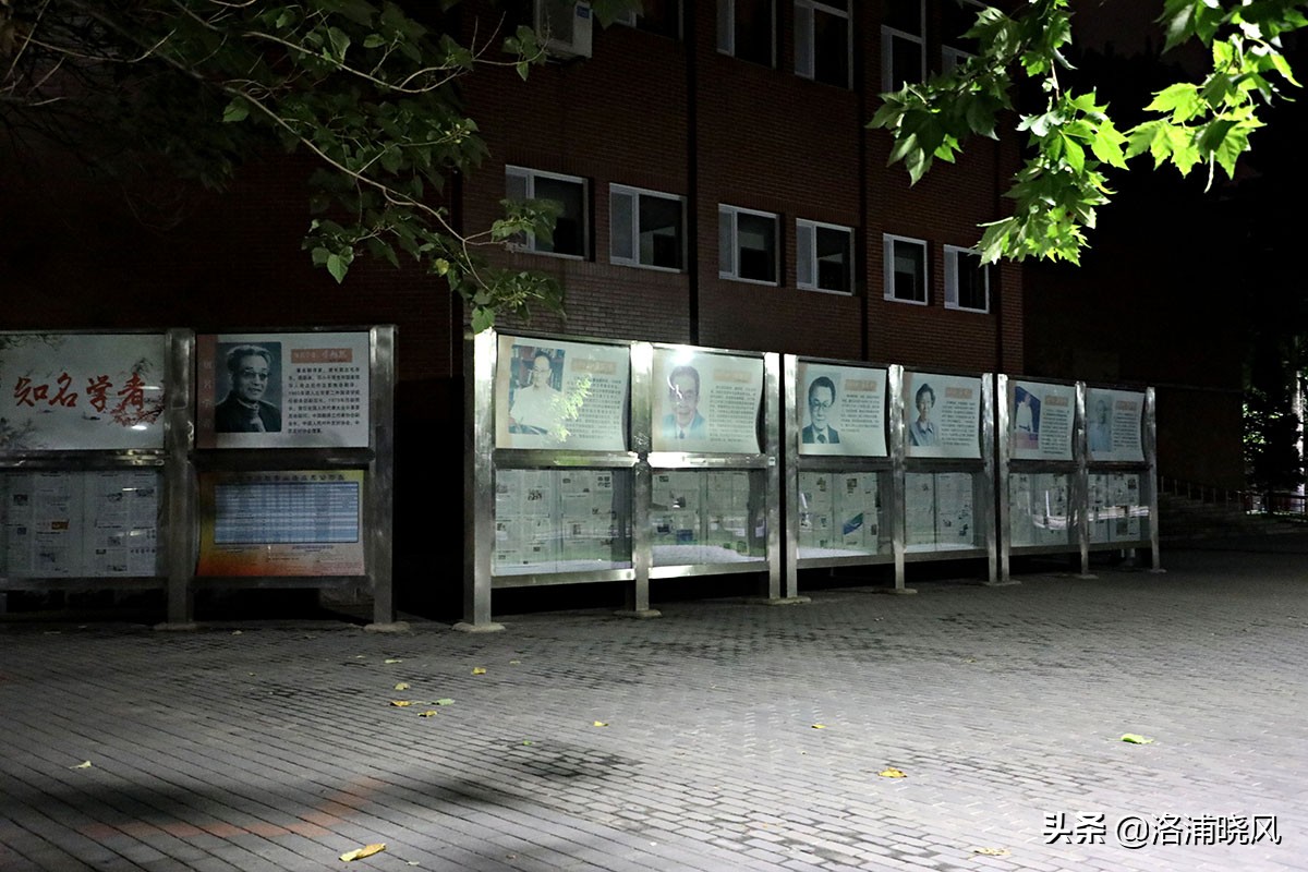 北京二外通州校区,北京二外的小语种有多好