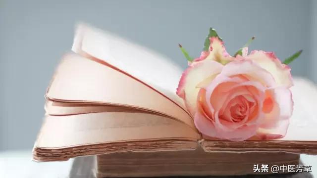 妇科“炎”症不退，私护误区需纠正