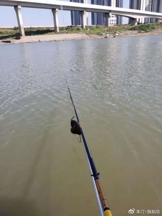 本汀金迦潘求败7米2,本汀金迦潘引领实测