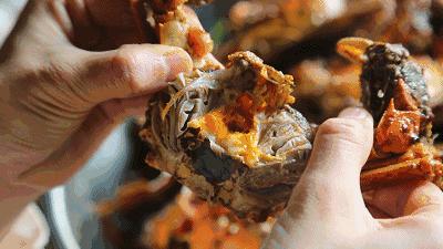 好好的螃蟹,为什么不横着走?来了解一下螃蟹界的“美味”成员