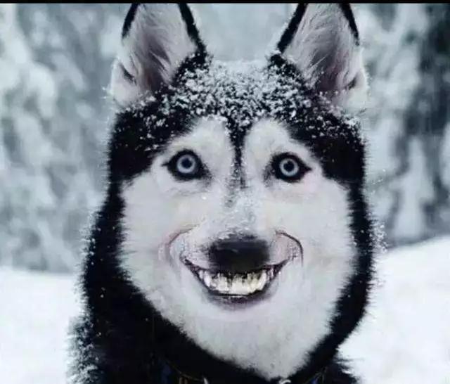 穿三通不用工具,穿三通没有引线