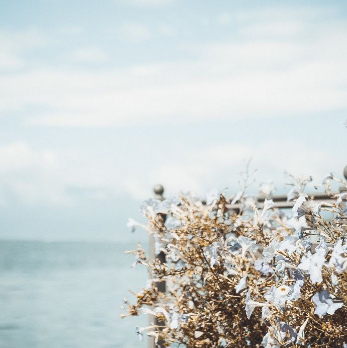 2020旅行时间表,2021年旅行时刻表出炉