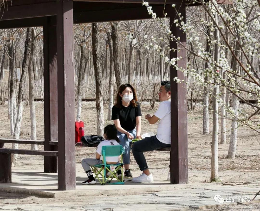 天津2022哪些公园恢复开放,天津2022年四月开放的公园