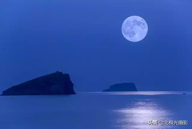 拍夜景鸟的正确方法,拍摄鸟类摄影欣赏