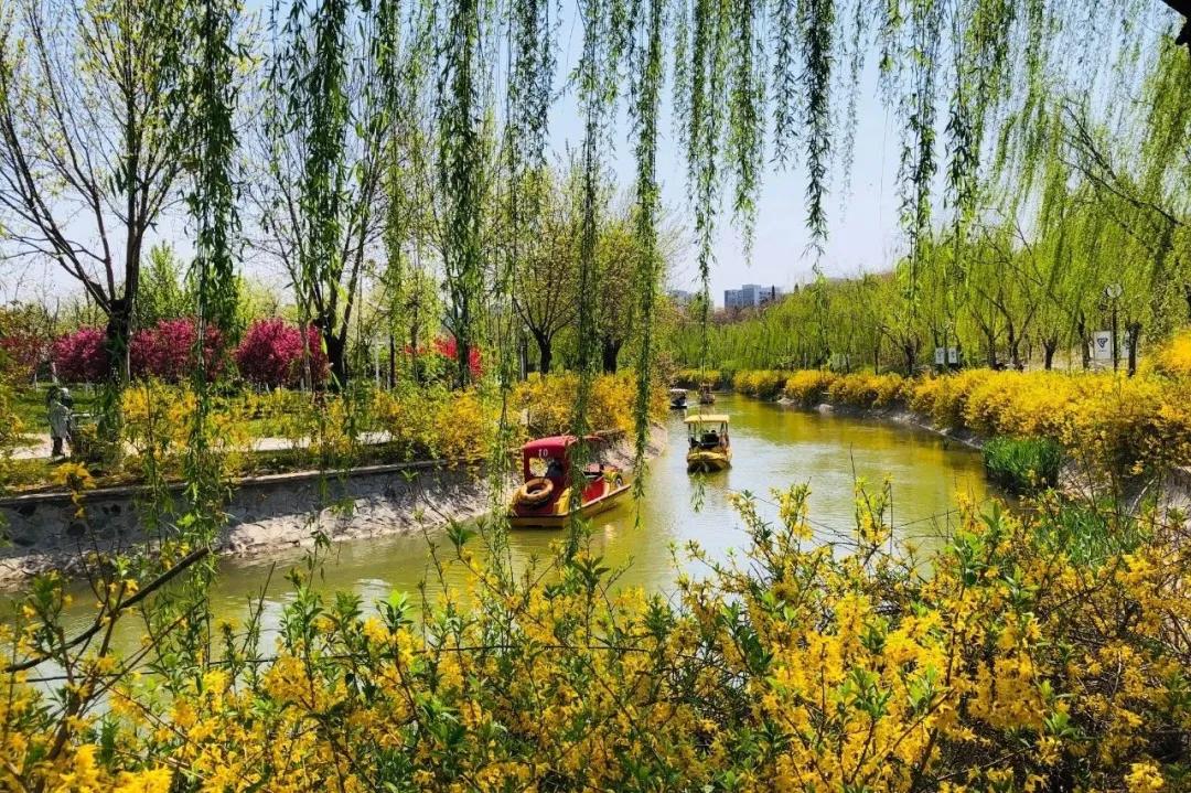一个不出郑州的踏青好去处,天津春游公园推荐