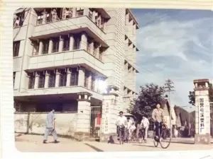 灞邯鏃呮父鐜扮姸,涓轰粈涔堜細閫夋嫨灞邯鏃呮父鍩庡競